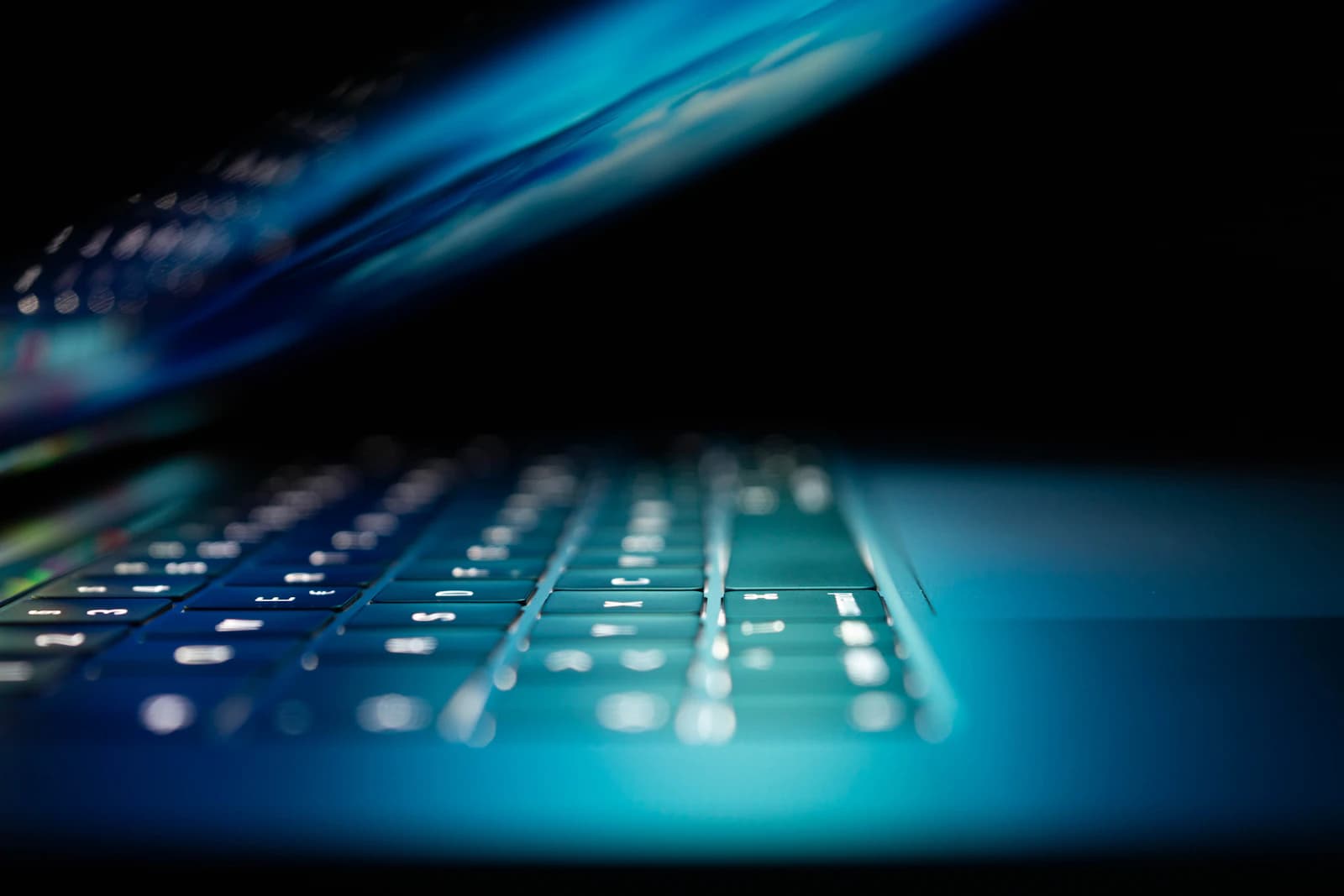 Laptop screen representing private monthly monitoring